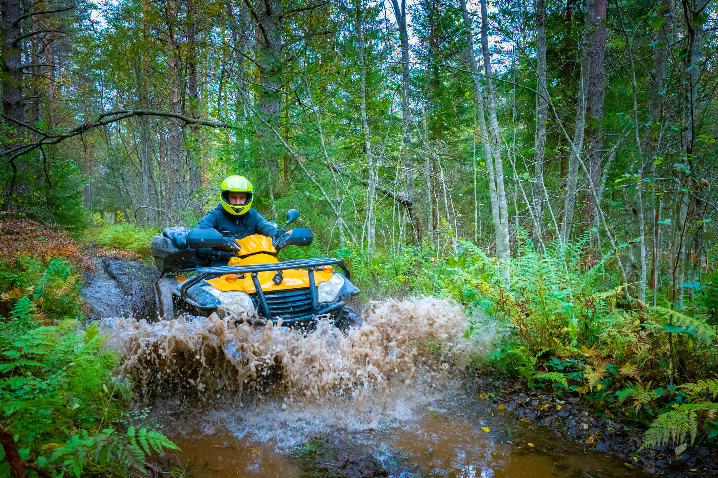 Flagstaff, Coconino County, AZ ATV Insurance.1